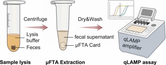 微生物所杜文斌团队合作研发副结核分枝杆菌便携式检测系统