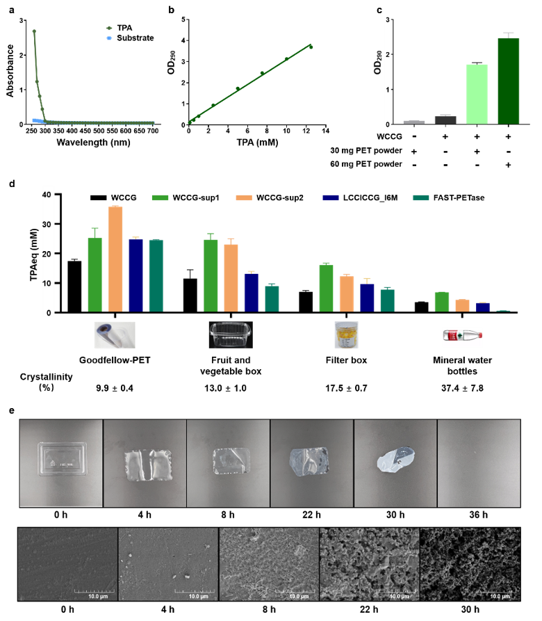 微生物所唐双焱团队在提升酶法降解未预处理PET研究取得进展