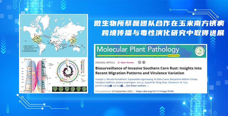 微生物所蔡磊团队合作在玉米南方锈病跨境传播与毒性演化研究中取得进展