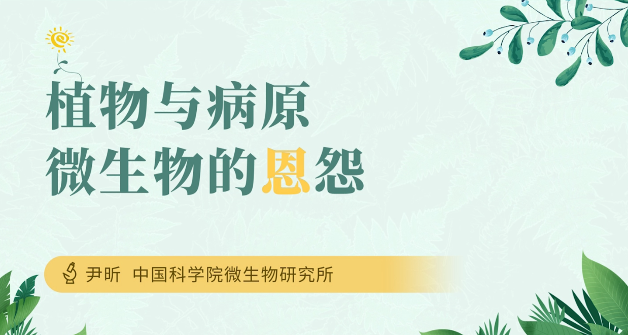科普 | 植物与病原微生物的恩怨