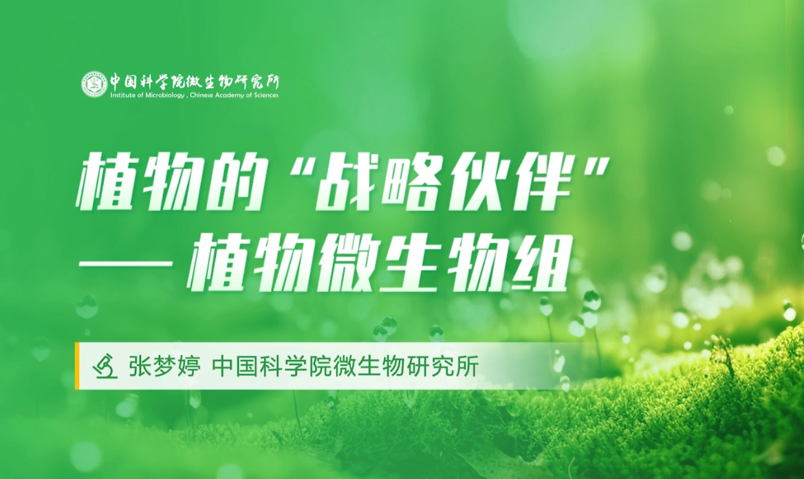 科普 | 植物的“战略伙伴”—植物微生物组