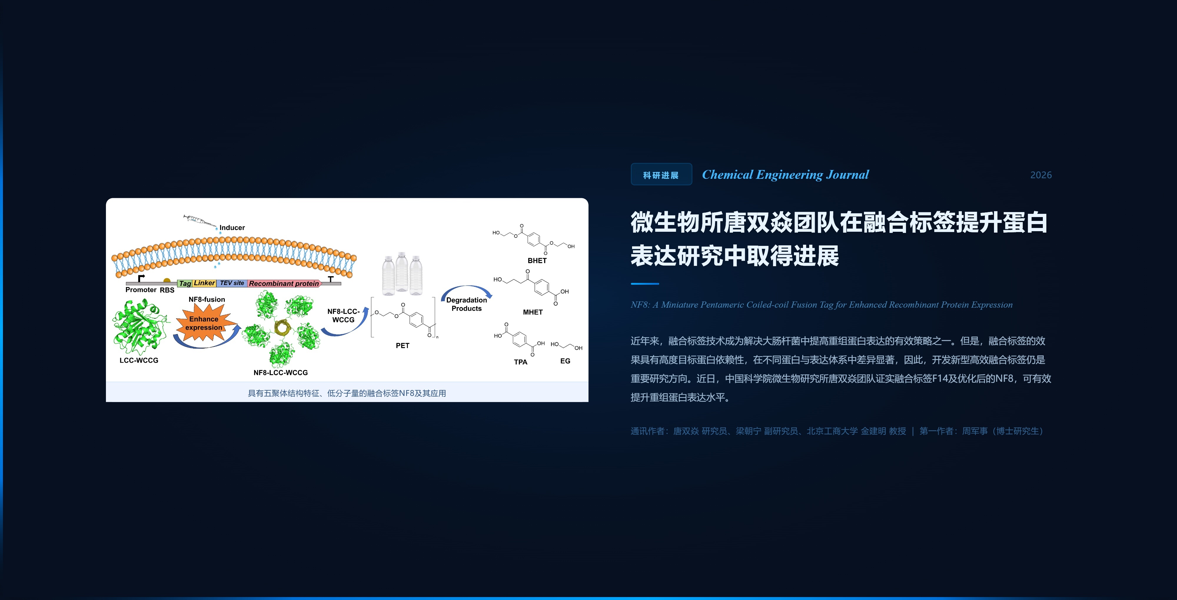 微生物所唐双焱团队在融合标签提升蛋白表达研究中取得进展